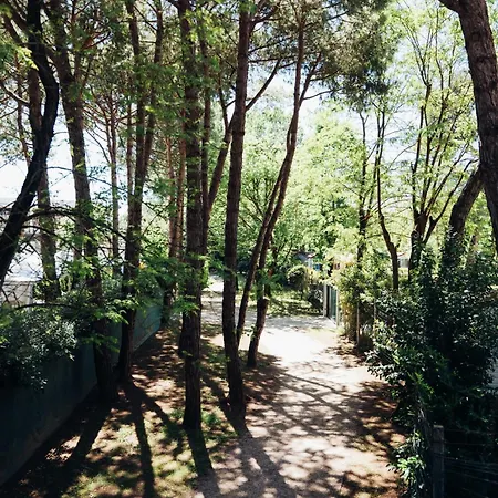 Vibra Glamping